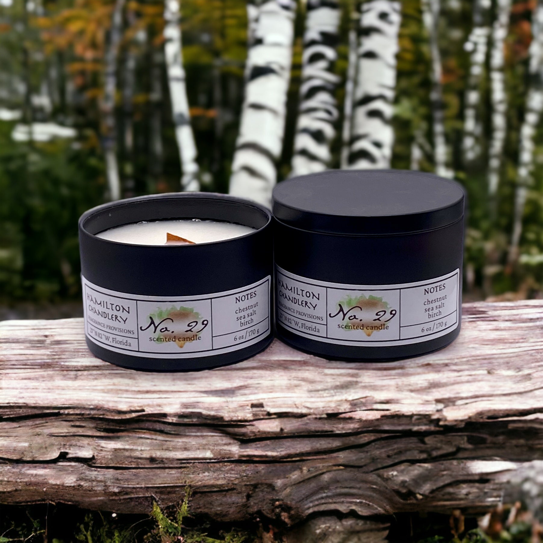 Fragrance No. 29 Travel Tin Candle on Stump with Birch Trees in Background | Hamilton Chandlery