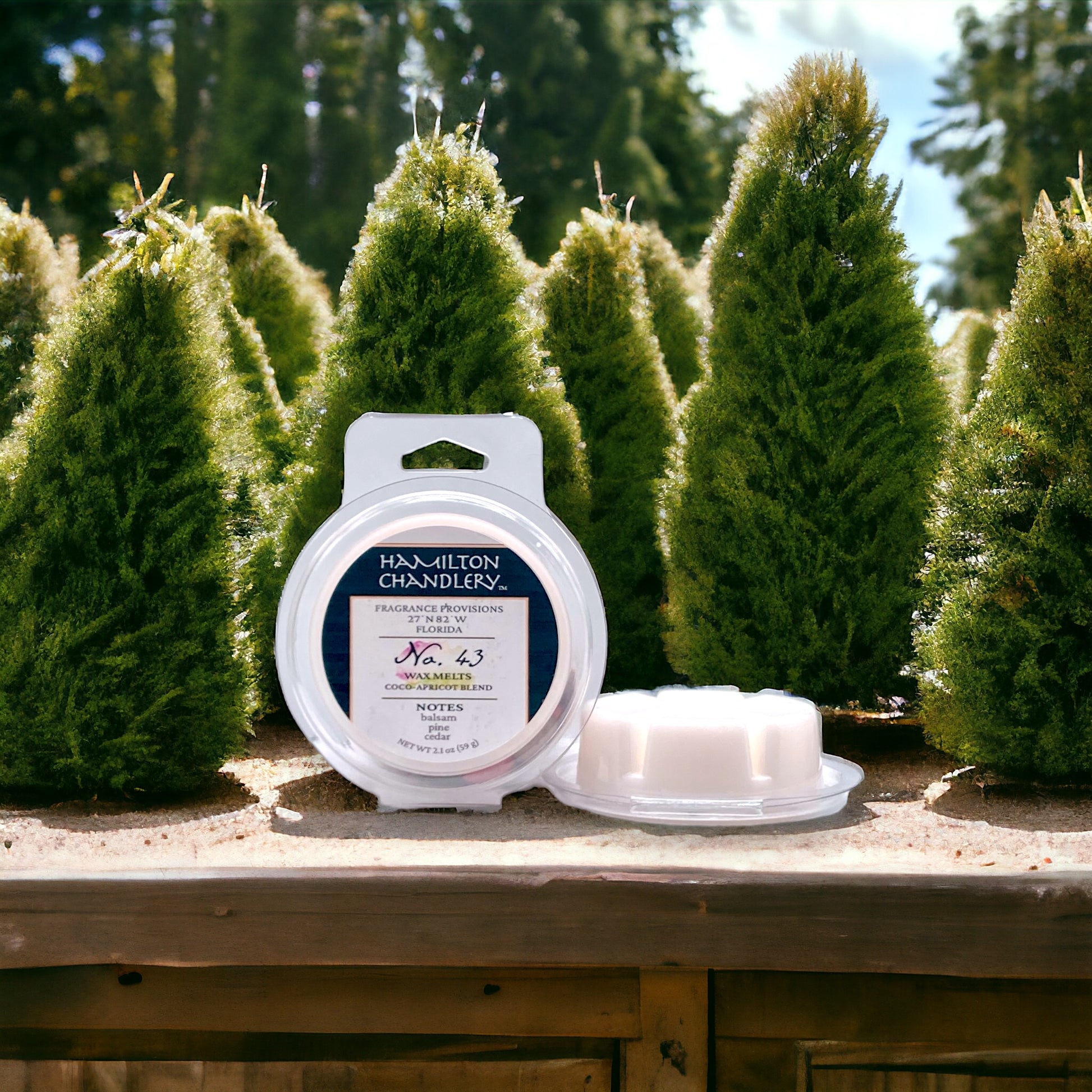 Fragrance No. 43 Wax Melts with Christmas Tree Farm Background | Hamilton Chandlery