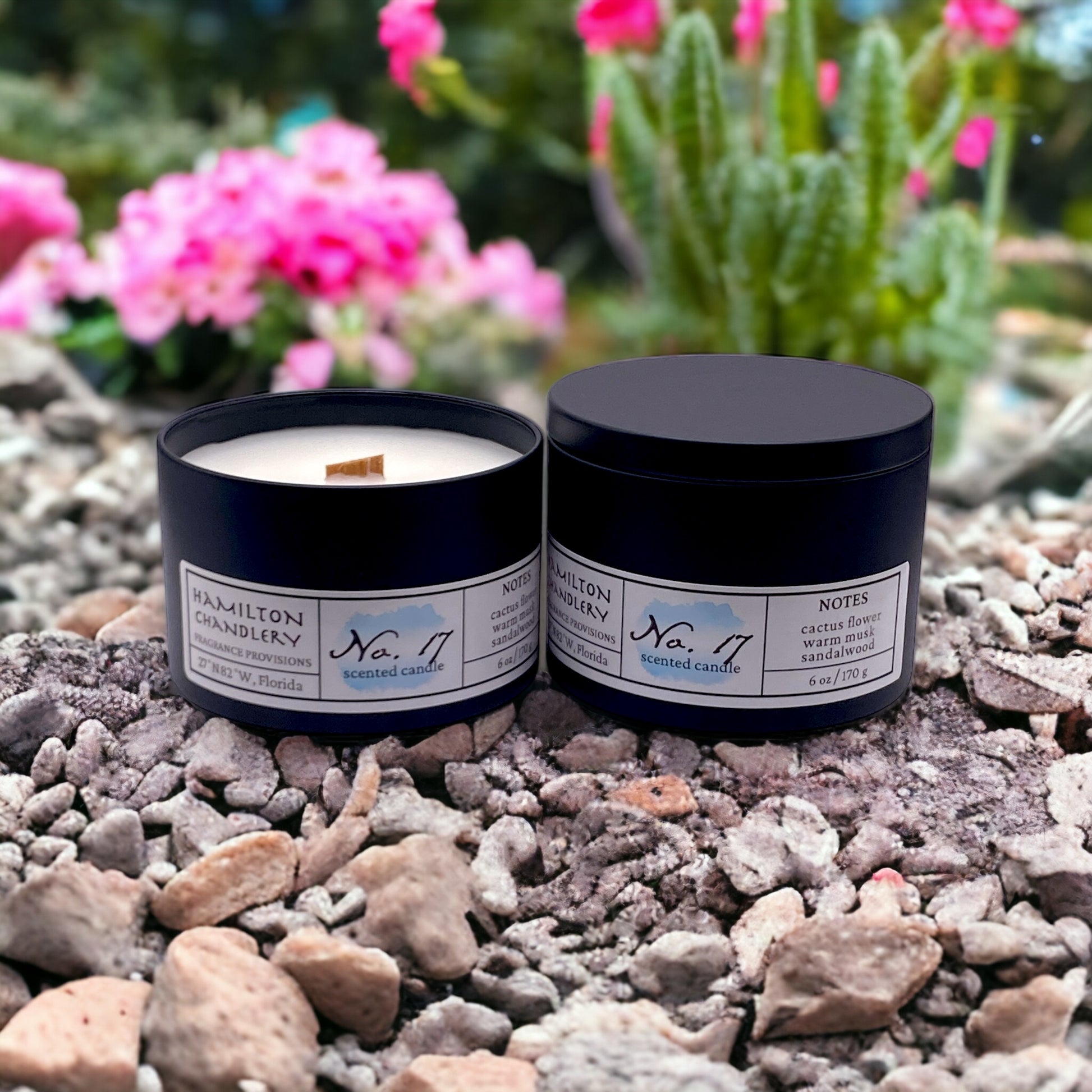 Fragrance No. 17 Travel Tin Candles on Pebble Bed with Cactus Garden in Background | Hamilton Chandlery
