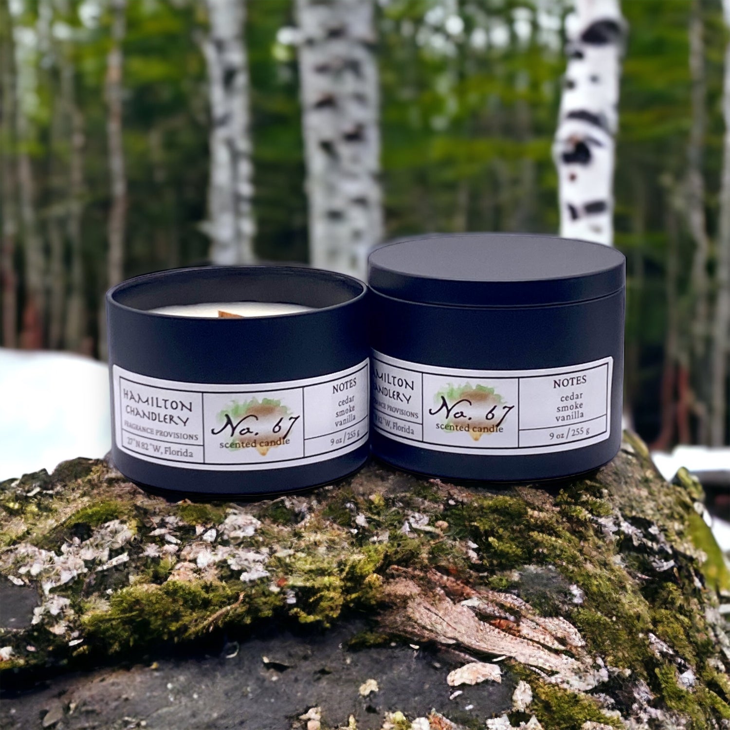 Fragrance No. 67 Travel Tin Candle on Moss Ledge with Birch Trees in Background | Hamilton Chandlery
